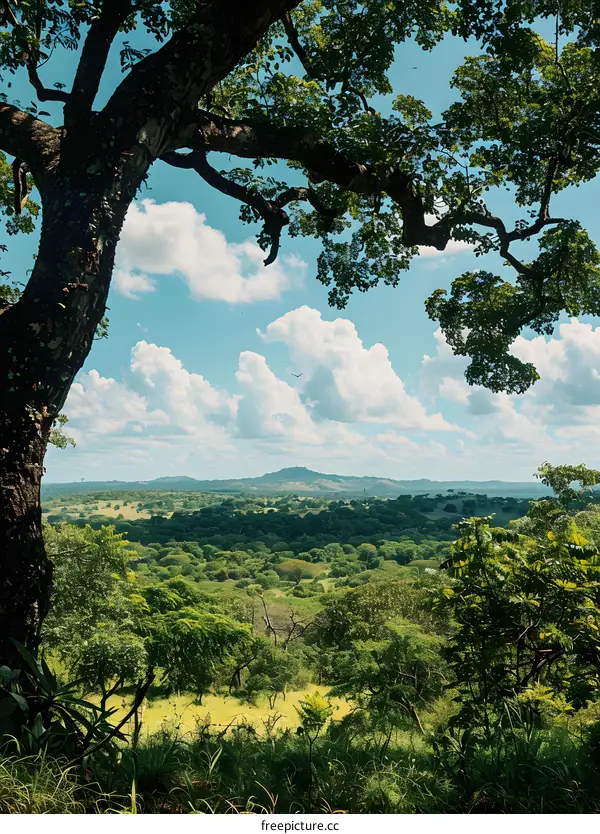 Green Lush Landscape with Blue Sky and Clouds