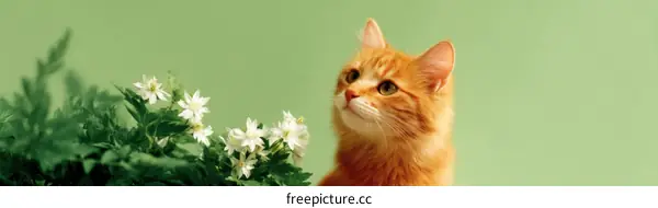 Ginger Cat Among Flowers in a Green Background