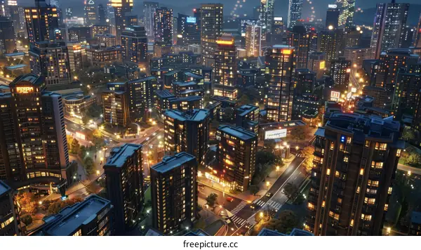 Night City Skyline Aerial View