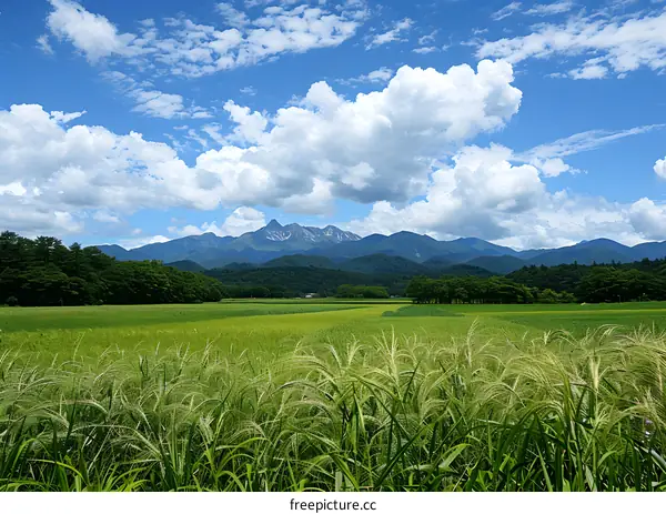 Green Grass Field with Mountain Range in Background