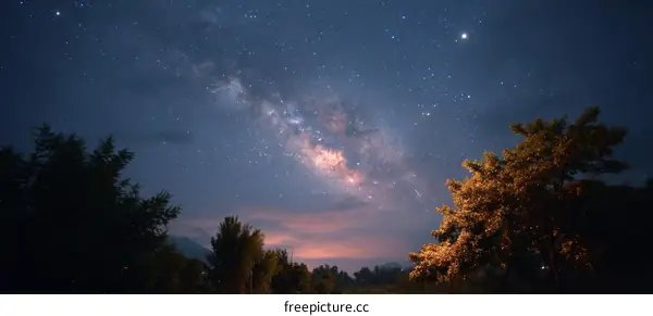Night Sky Milky Way with Trees