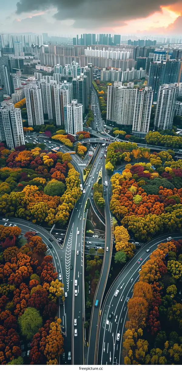 Aerial View of Urban Interchange Surrounded by Autumn Foliage