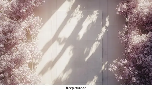 Spring Courtyard Perspective View