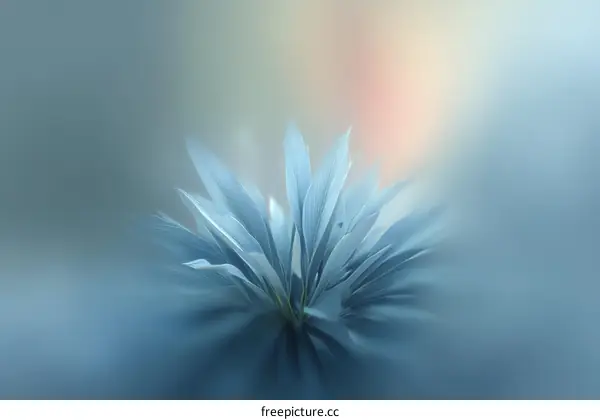 Delicate Blue Flower Abstract