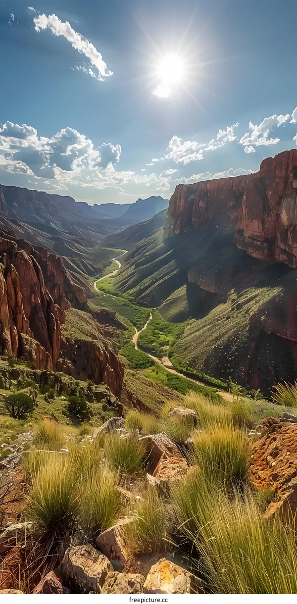 A Stunning View of a Canyon Landscape with a River Running Through It