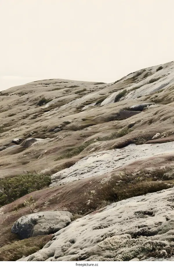 Lichen Covered Rocks in Mountain Landscape
