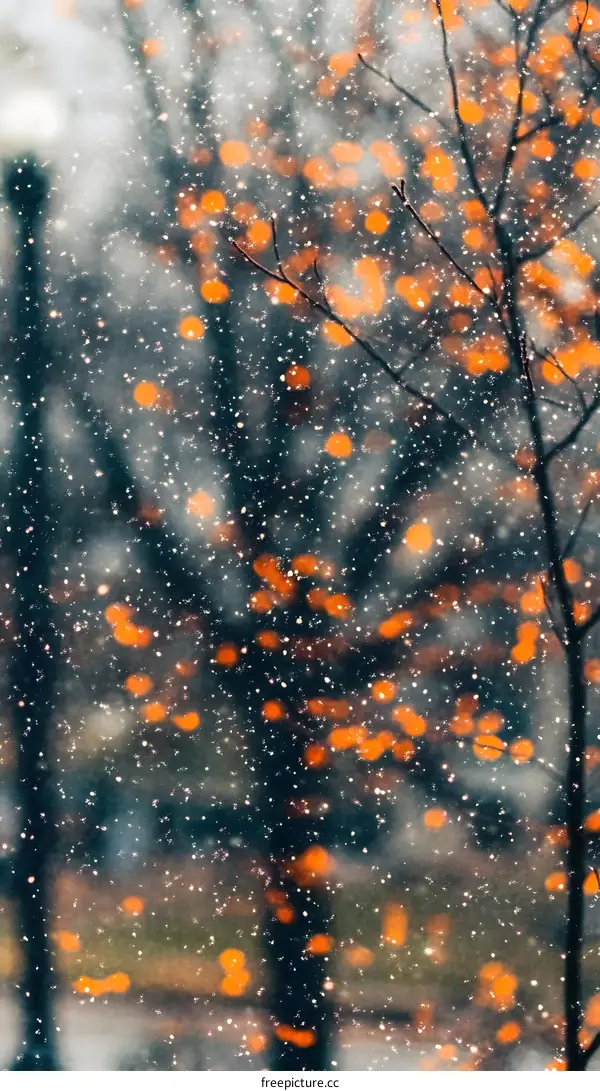 Winter Bokeh Lights Abstract Background