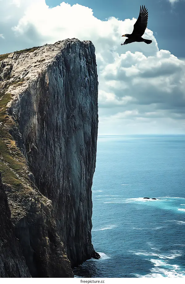 Bird Flying Near Cliff by the Sea
