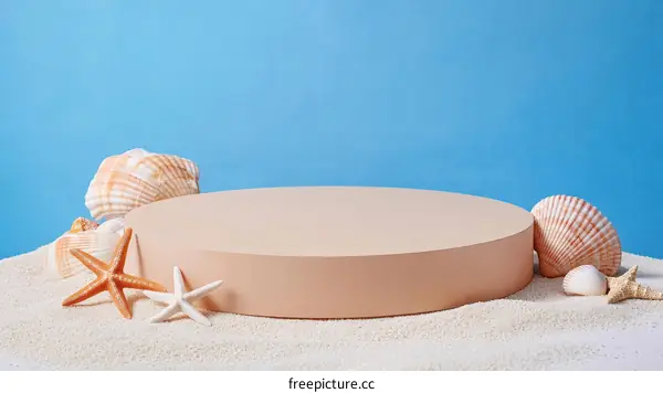 Beige Display Stand on Sandy Beach with Seashells