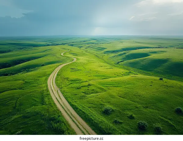 Curving Road Through The Grasslands