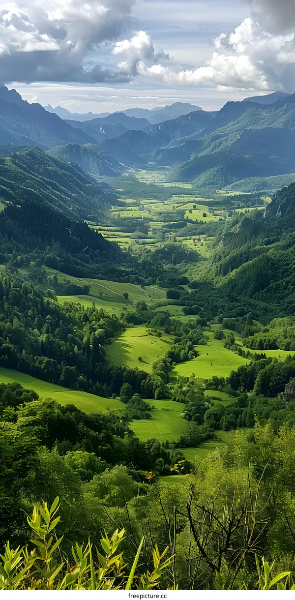 Green valley in the mountains
