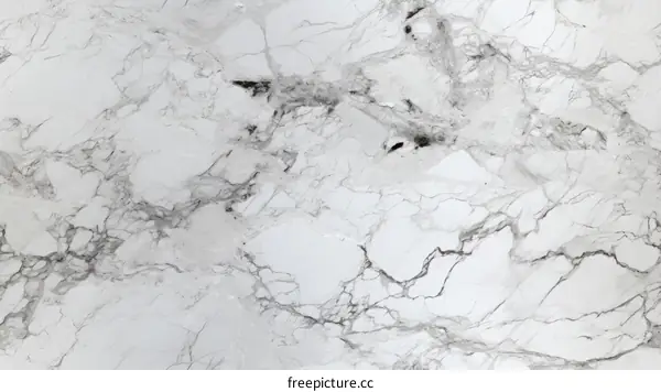 Black and white marble texture background
