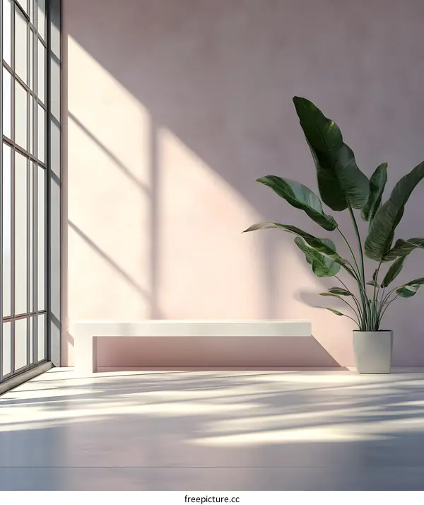 Minimalist Interior Design With Pink Wall and White Bench