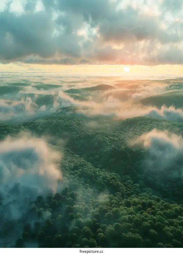 Misty Mountain Forest Sunset