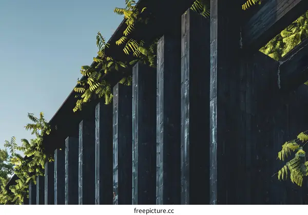 Black Wooden Wall with Green Vines