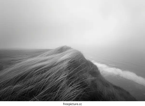 Black and white photo of an ocean view with grassy hills and cliffs