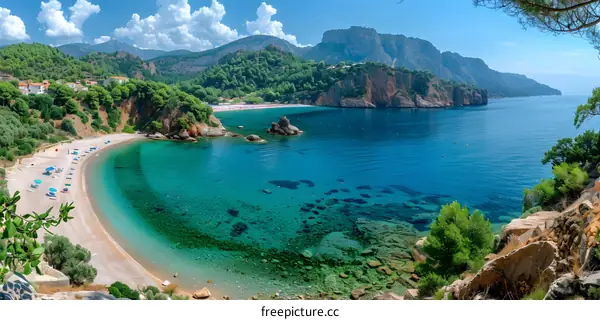 Amazing beach with crystal clear water and lush greenery
