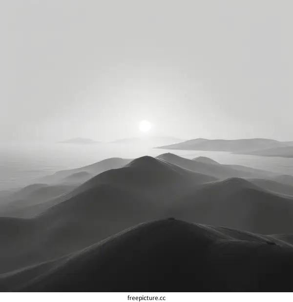 Black and white image of a vast desert landscape with rolling sand dunes and a setting sun