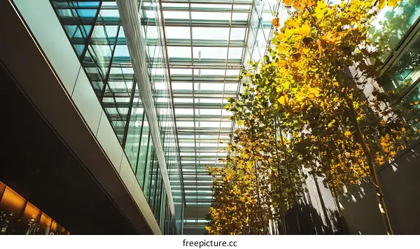 Glass Ceiling and Trees in a Modern Building