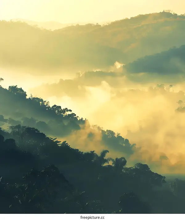 Sunrise Over Misty Mountains Landscape
