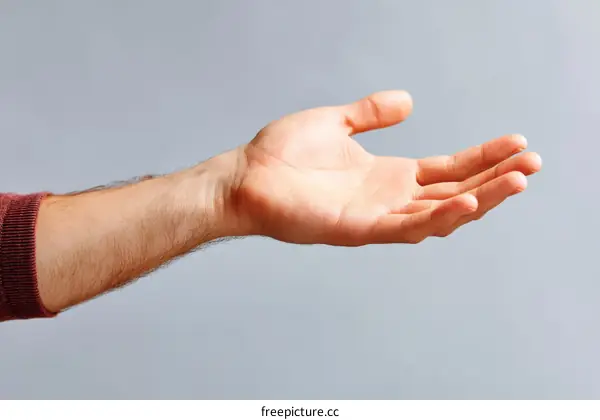 Open Hand Gesture Against a Light Gray Background