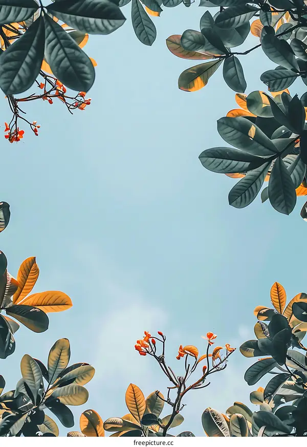 Green Leaves and Blue Sky Nature Background