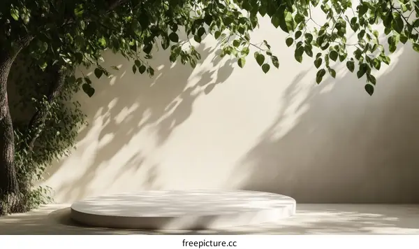 Elegant Natural Product Display Podium