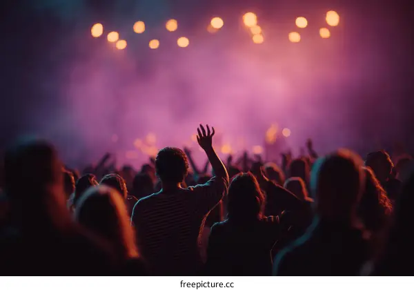 Crowd at a Concert Venue