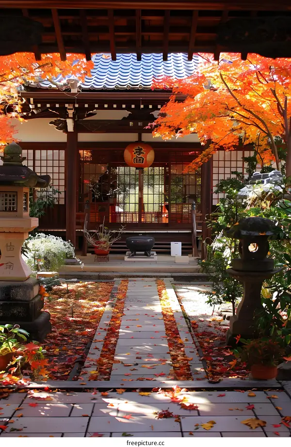 A beautiful Japanese garden with a red maple tree in the fall