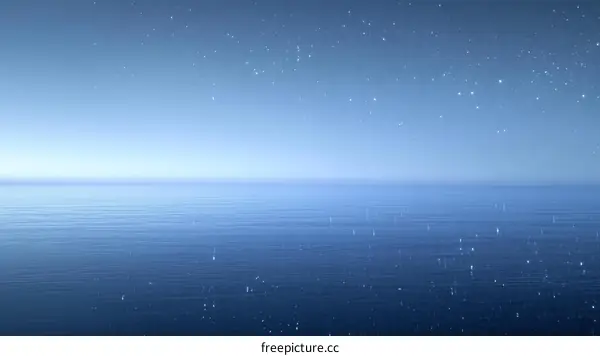 Calm Night Sea with Stars Illustration