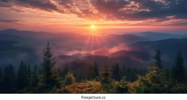 Stunning Mountain Vista with Sunrise and Coniferous Trees