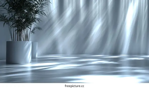 Modern Minimalist Interior Design Scene