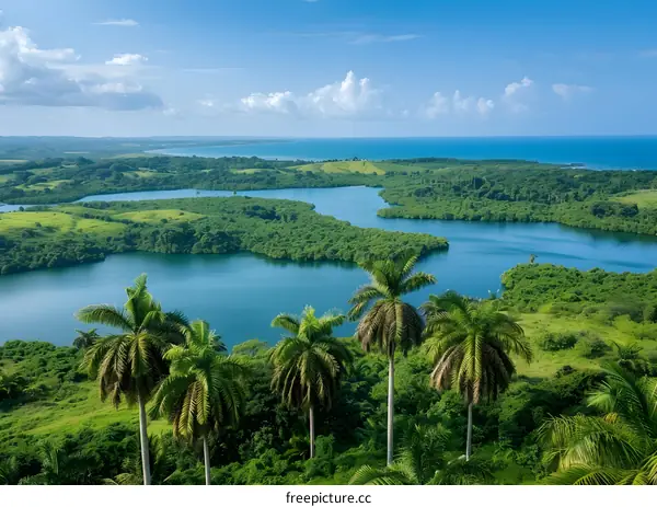 Aerial View of Tropical Lagoon with Palm Trees and Ocean in the Background