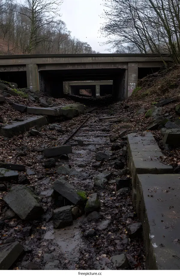 Underneath the Concrete Bridge, Ruins and Decay