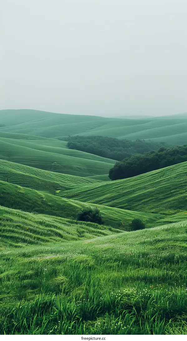 Green rolling hills under a foggy sky