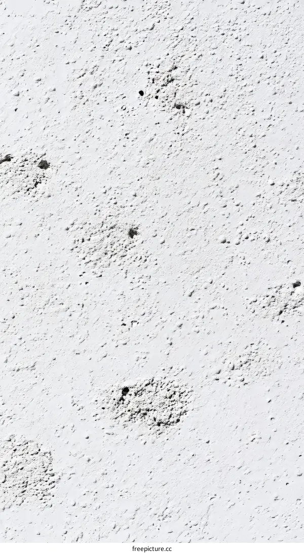 White Stucco Wall Texture Background