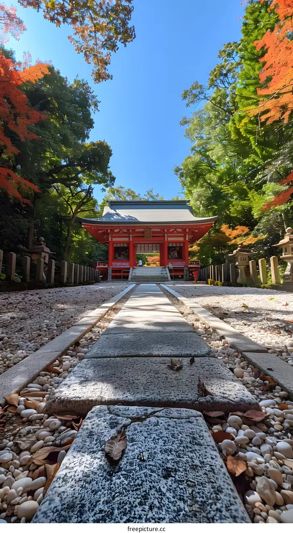 Stone Path Leading to Japanese Temple Gate in Autumn