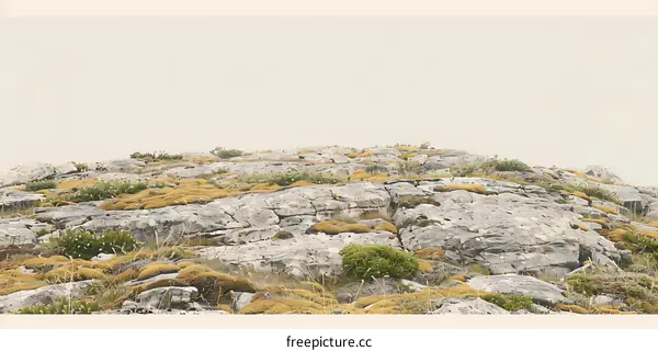 Rocky Landscape with Yellow Moss