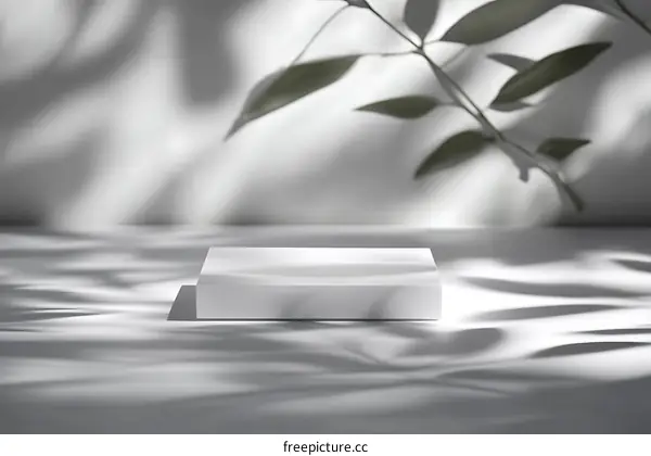 Modern Minimalist White Display Stand with Natural Light and Shadows