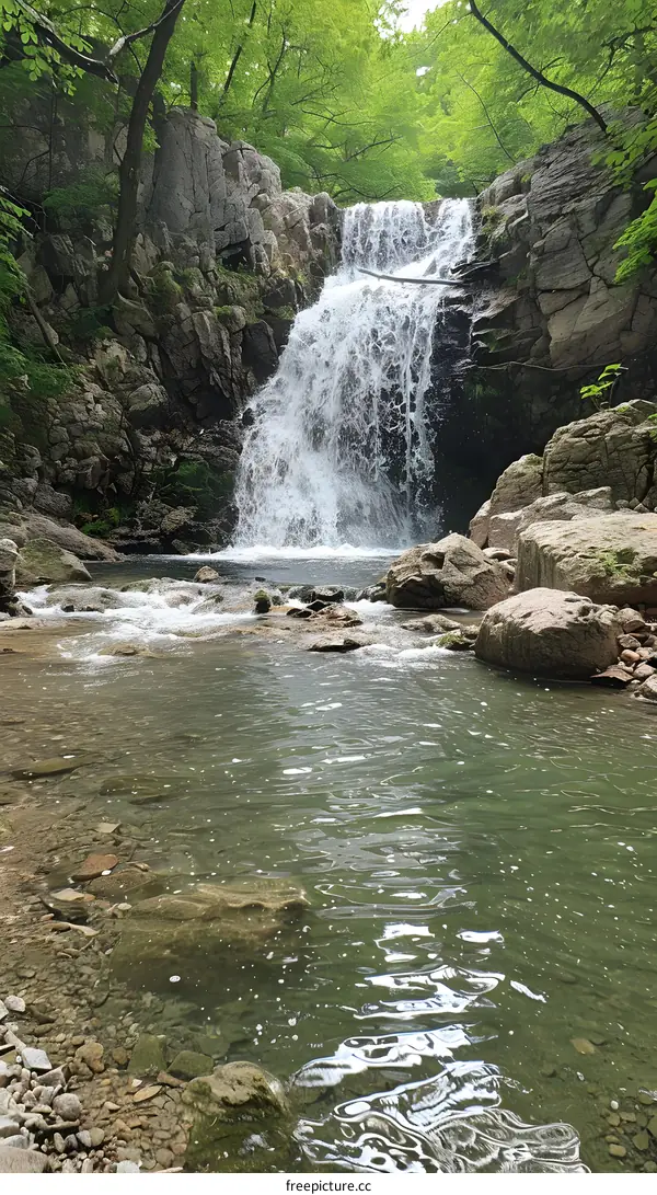Waterfall in the forest
