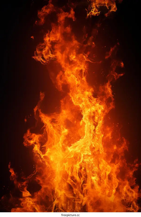 Fire flame on black background