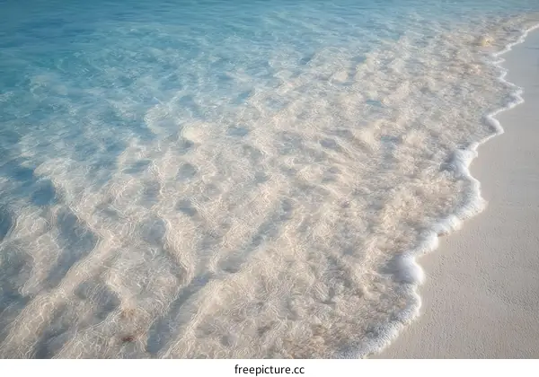 Coastal Waves on a Sandy Beach