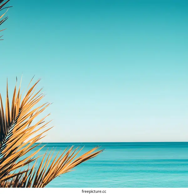 Tropical Palm Leaves Overlooking Blue Ocean