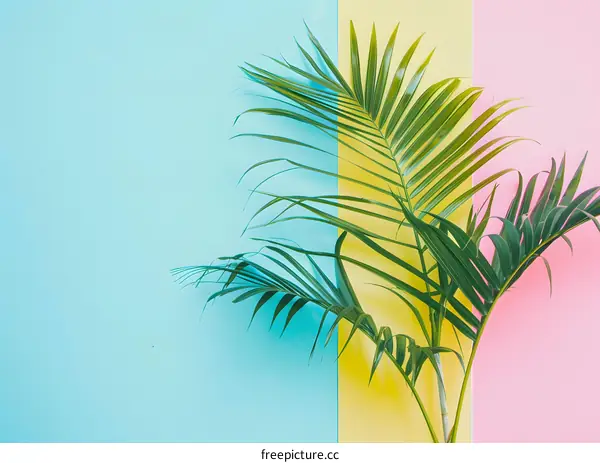 Palm Leaf on Blue Yellow and Pink Background