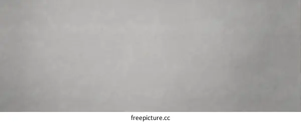 Plain Light Gray Solid Background Texture