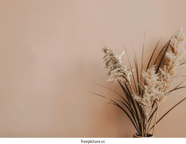 Minimalist Beige Wall With Dried Pampas Grass