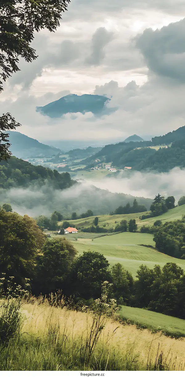 Green Mountain Valley Landscape with Fog