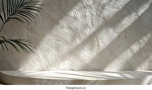 Minimalist Beige Wall and Display Shelf Illustration