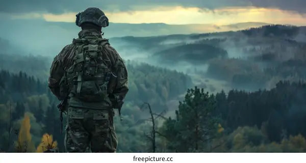 Soldier looking out over a forest