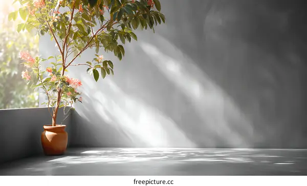 Sunlight Filtering Through Plants in a Modern Home